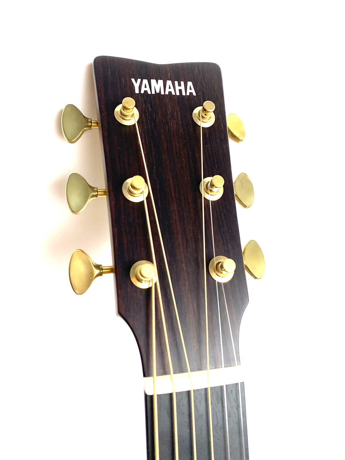 Yamaha LL26AREII FOLK GUITAR 2021