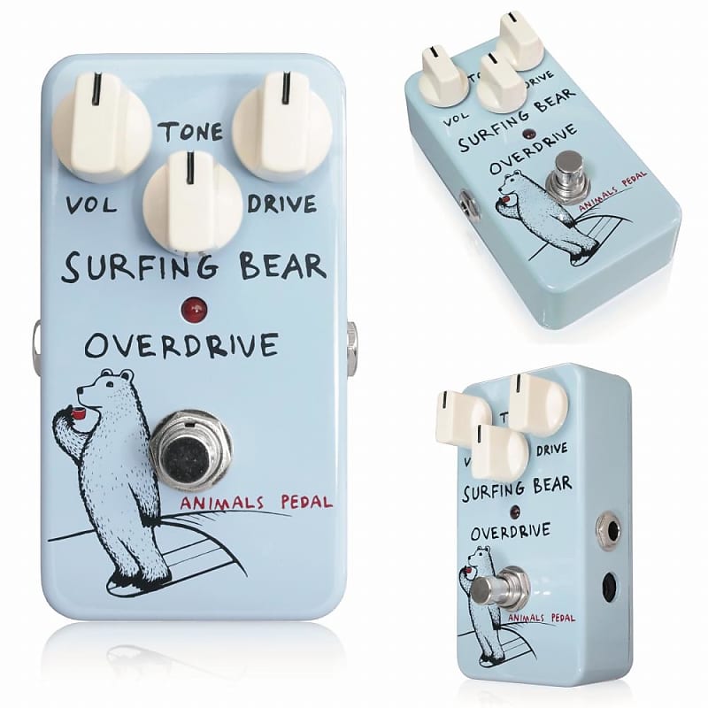 Animals Pedal Surfing Bear Overdrive