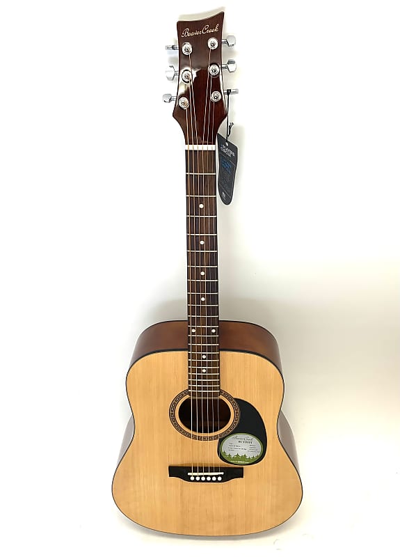 Beavercreek BCTD101 Dreadnaught Acoustic Guitar 2020
